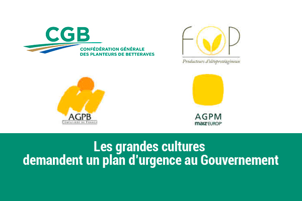 grandes-cultures-plan-urgence