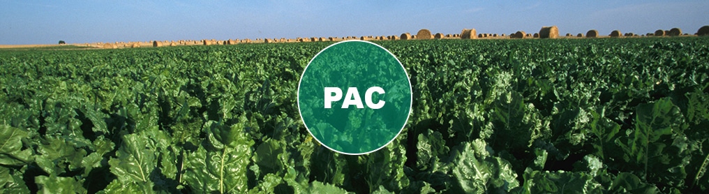 PAC-politique-agricole-commune