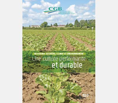 Une-culture-performante-et-durable-carre