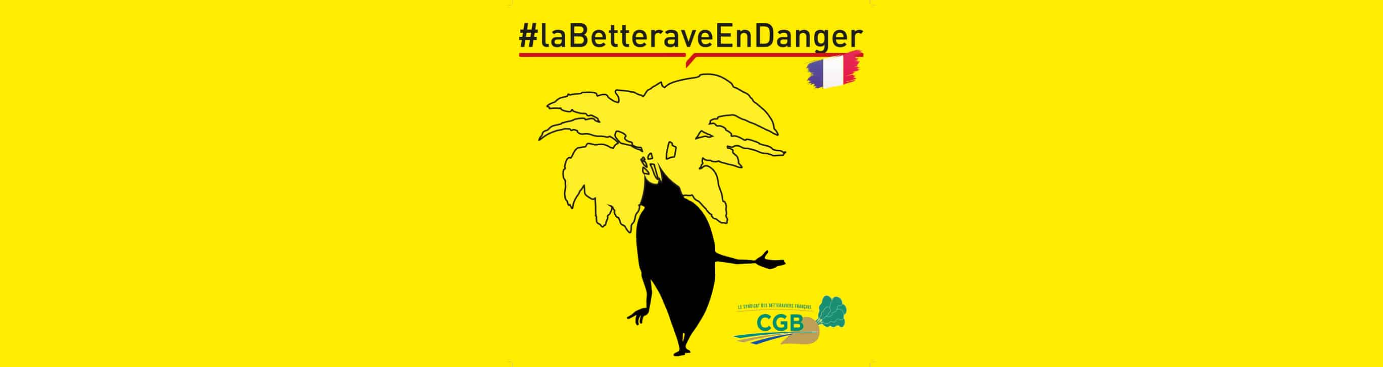 betterave en danger